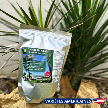 Gazon Tropical - 1kg sachet