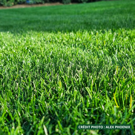 Team-Sport Sud - Alex Phoenix (source photo).