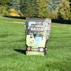 GAZON PROFESSIONNEL SPORT ET JEUX