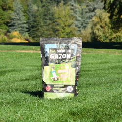 Gazon-Ombre - 10kg.