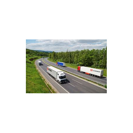 Frais de transport – Livraison transporteur Team Green