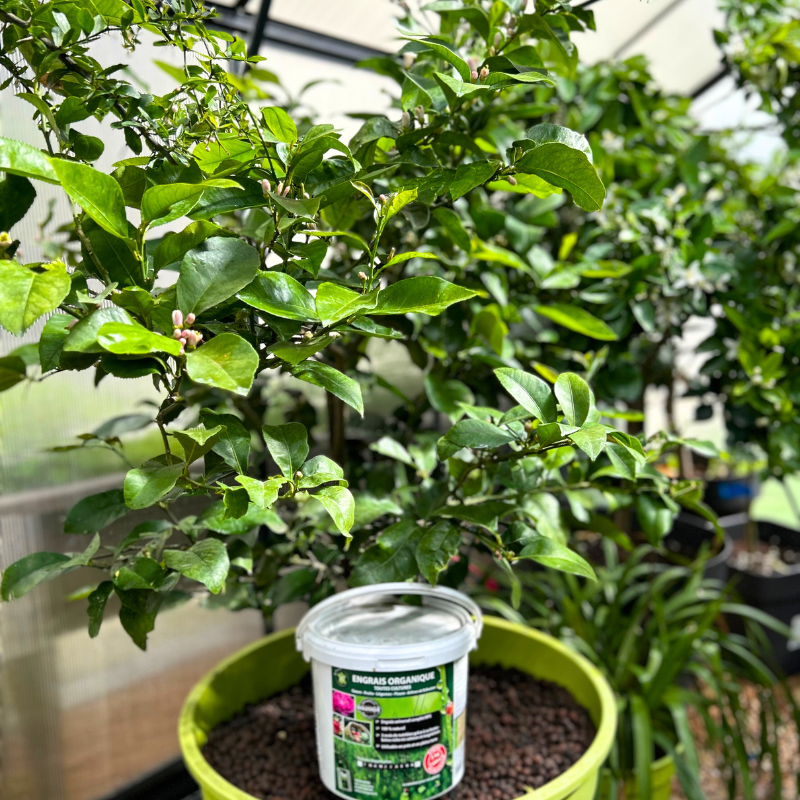 Engrais organique toutes cultures NPK 4-5-8 - pour cultures bio