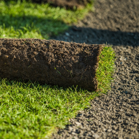 Gazon de placage naturel en rouleau Rustique