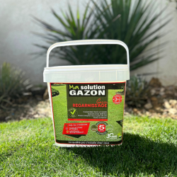 GAZON PROFESSIONNEL POUR REGARNISSAGE
