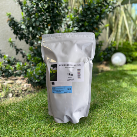 MOUTARDE BLANCHE TEAM GREEN EN SACHET DE 1KG
