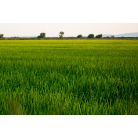 PRAIRIE UNIVERSELLE EN SAC DE 10 KG