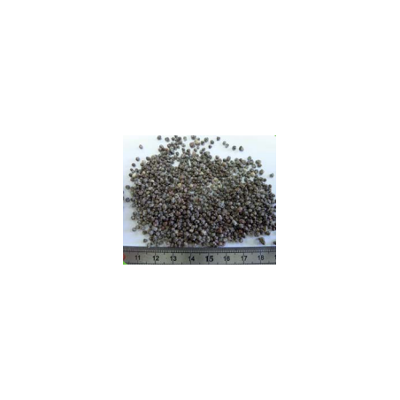 TEAM-ORGAMIN 15-5-10 sac de 25 KG