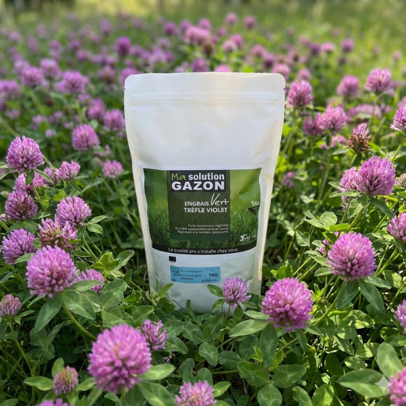 TREFLE VIOLET TEAM GREEN EN SACHET DE 1 KG