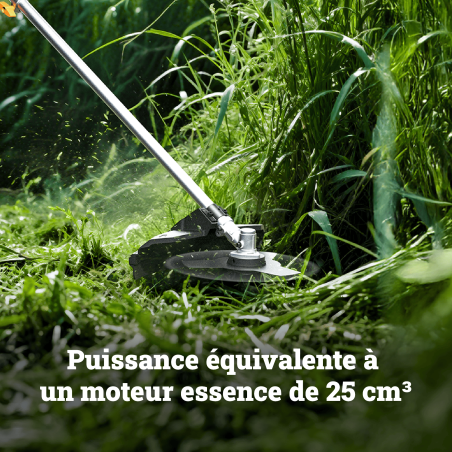 Débroussailleuse Worx WG084E.9 40V 38 cm puissante