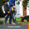 Souffleur aspirateur broyeur Worx WG505E 3000W