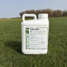 Engrais liquide reverdissant TEAM-IRON pour gazon effet rapide