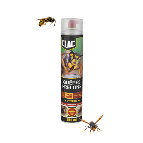Aérosol anti-guêpes et frelons 750 ml | Jet 4 m - Action immédiate
