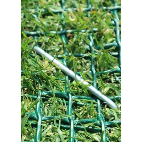 Grille de protection de pelouse pour robot tondeuse