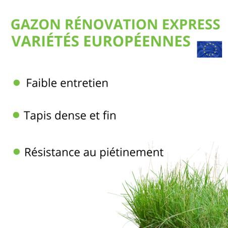 Gazon Regarnissage professionnel : rénovation express
