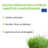 Mélange de gazon pour terrain ombragé professionnel implantation facile