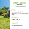 Mélange de gazon pour terrain ombragé professionnel implantation facile