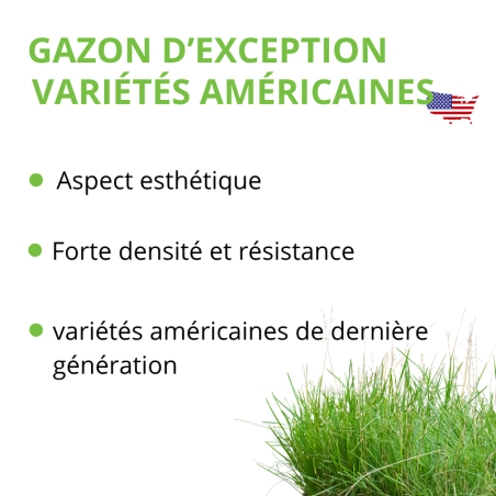 Mélange de gazon Team-Prestige 10kg-25kg | Dense et esthétique