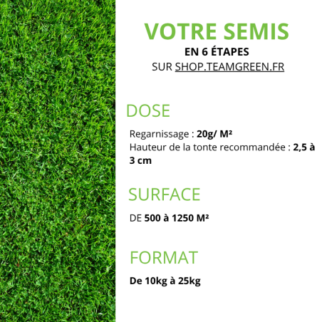 Mélange de gazon Team-Prestige 10kg-25kg | Dense et esthétique