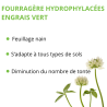TREFLE BLANC NAIN TEAM GREEN EN SACHET DE 1 KG