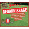 GAZON REGARNISSAGE 25 kg