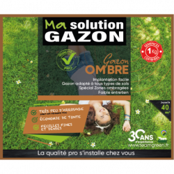 GAZON PROFESSIONNEL OMBRE: mélange de graines professionnelles pour zones ombragées