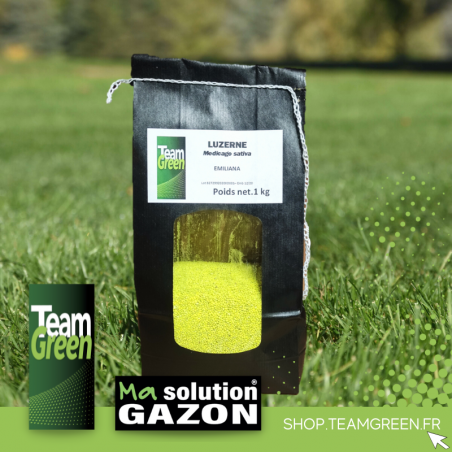 LUZERNE TEAM GREEN EN SACHET DE 1KG