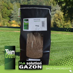 PHACELIE TEAM GREEN EN SACHET DE 1KG