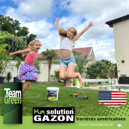 Gazon Elite Fairway : mélange esthétique et faible entretien