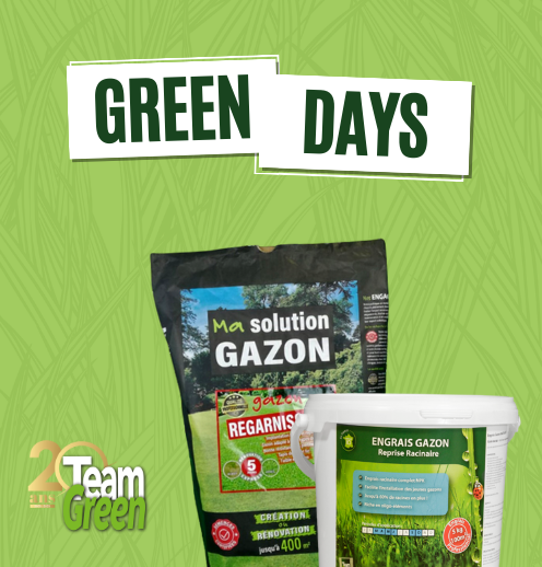 C’est les Green Days chez Team Green ! 🟢