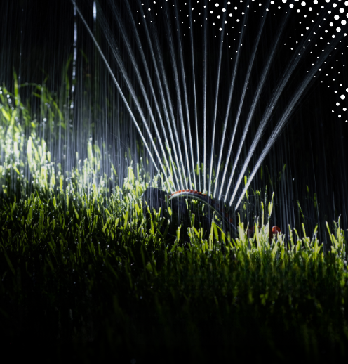 Comment faut-il arroser pendant une période de forte chaleur ?​