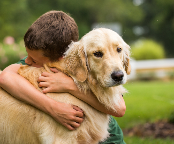 animaux-chien-jardin-gazon