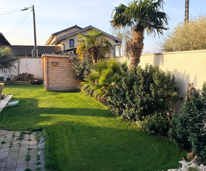 jardin gazon semence
