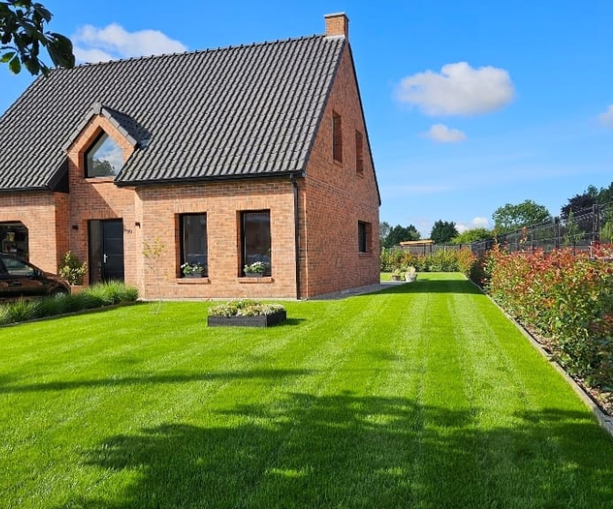 maison jardin gazon vert naturel