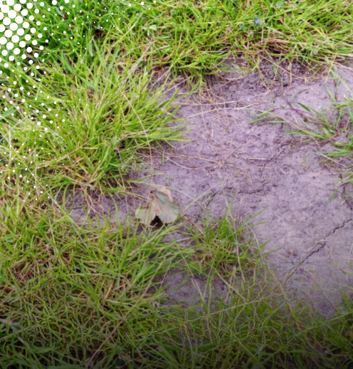 Comment éviter les maladies ?