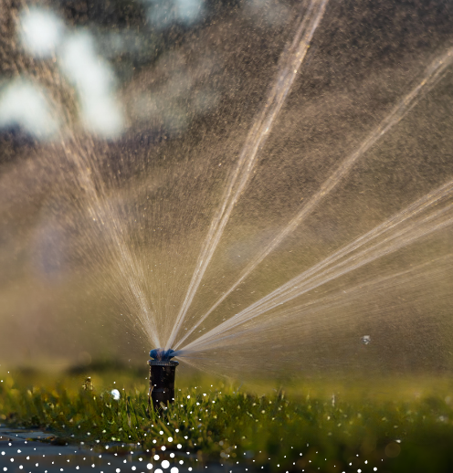 Quel sable utiliser pour le gazon ?
