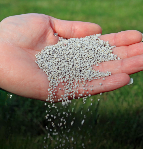 Fréquence de fertilisation