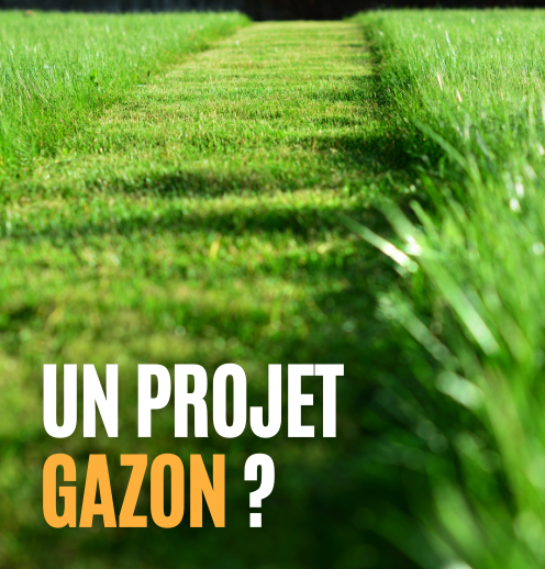 questions projet gazon team green