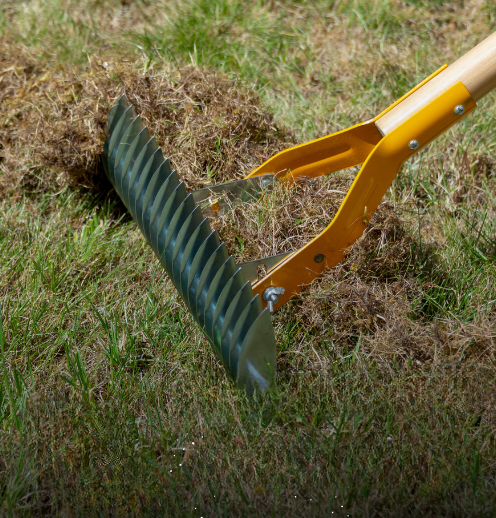 À quelle fréquence dois-je scarifier ma pelouse ?