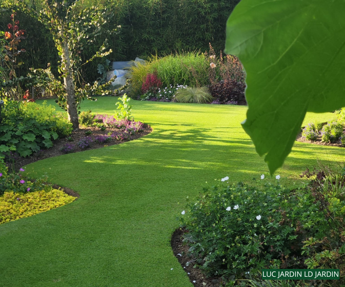 regarnir gazon printemps