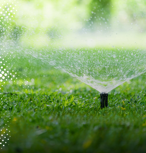 Quand faut-il arroser ?