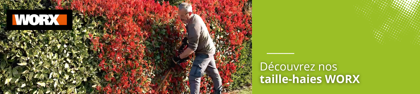 taille haies worx